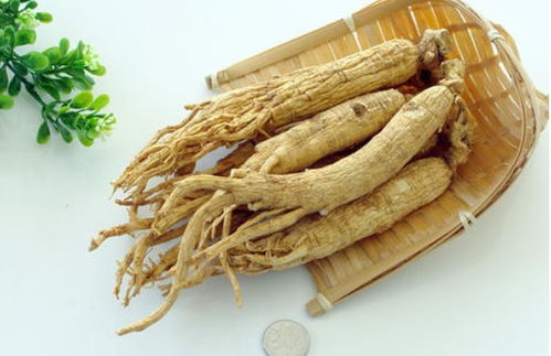 園參、林下山參與西洋參的共同點(diǎn)